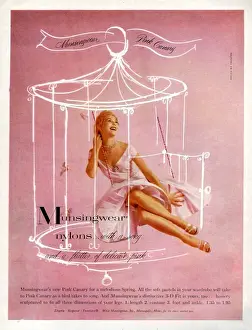 Munsingwear 1950s UK womens hosiery nylons stockings birds cages