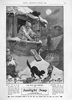 1800's Collection: Pears 1899 1890s UK cc sunlight winter snow cats