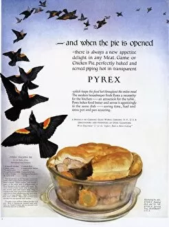 Images Dated 4th March 2005: Pyrex 1920s USA pies four and twenty blackbirds