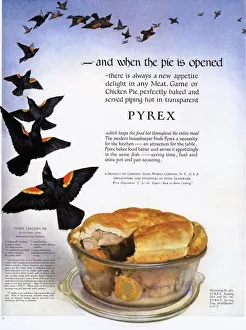 Images Dated 2005: Pyrex 1920s USA pies four and twenty blackbirds
