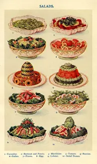 1900s Prints: Salads 1900s UK Isabella Beeton Mrs Beetons Book of Household Management cooking