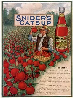 Images Dated 11th September 2008: Sniders Catsup 1920s USA CC tomatoes sauce farmers farming recipes