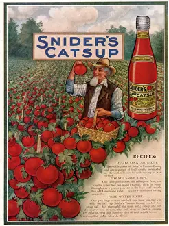 Nineteen Twenties Prints: Sniders Catsup 1920s USA CC tomatoes sauce farmers farming recipes