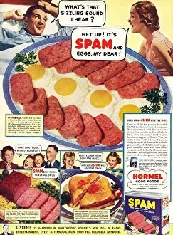 Trending: Spam 1960s USA Hormel meat tinned disgusting food breakfasts meals meals canned cans
