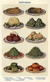1900s Prints: Vegetables 1900s UK Isabella Beeton Mrs Beetons Book of Household Management cooking